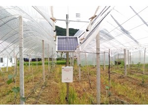 葡萄智能化产业